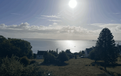 Depuis vingt ans, je chemine ainsi…