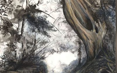 Parler d’invisibilité, c’est parfois réveiller des voix depuis longtemps silencieuses