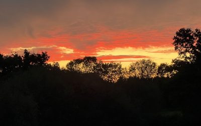 Ce que l’Absent mais Implicite n’est pas